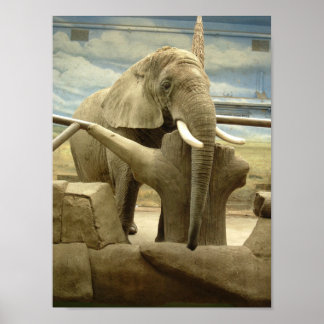 Elephant Love Poster