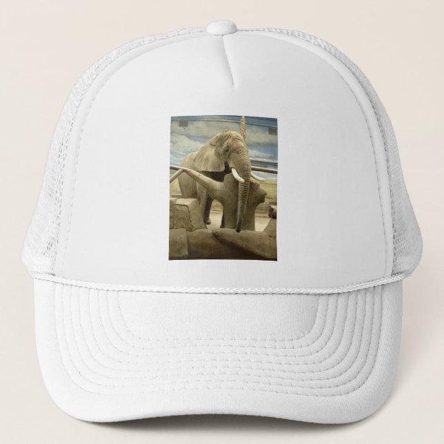 Elephant Love Trucker Hat (Front)