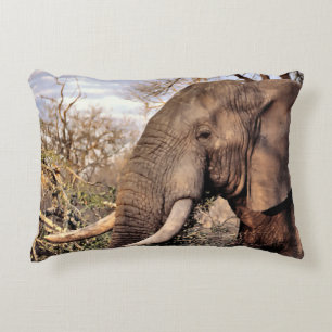 Elephant Lovers Art Decorative Cushion