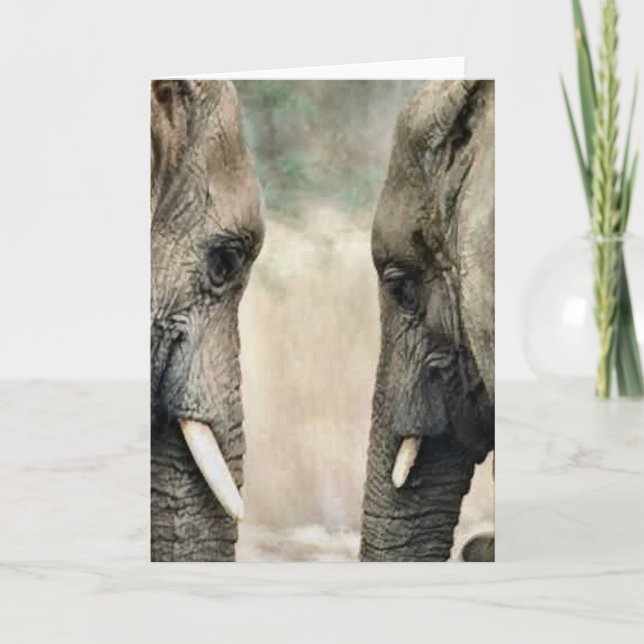 Elephant Lovers Art Gifts Card (Front)
