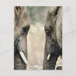 Elephant Lovers Art Gifts Postcard