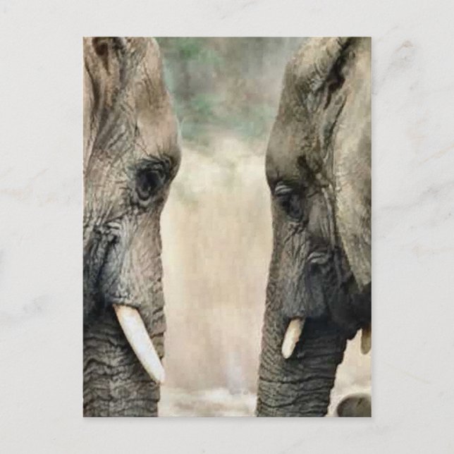 Elephant Lovers Art Gifts Postcard (Front)