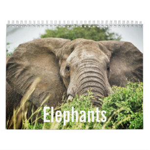 Elephant Lovers, Elephant Colour Photographs Calendar