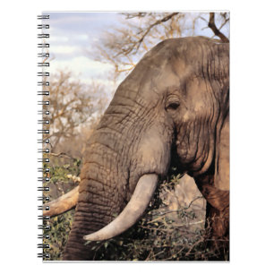Elephant Lovers Wildlife Spiral Notebook