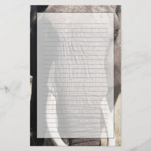 Elephant (Loxodonta africana), Abu Camp 3 Stationery