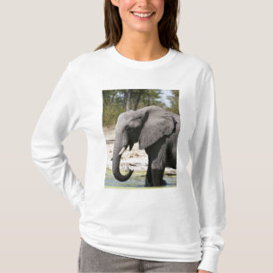 Elephant (Loxodonta africana), Savute Channel T-Shirt