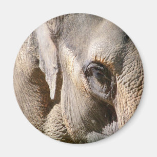 ELEPHANT MAGNET