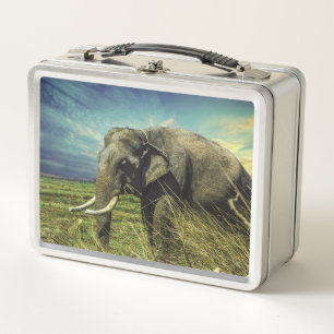 Elephant  metal lunch box