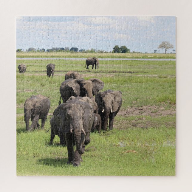 Elephant Migration Jigsaw Puzzle (Vertical)