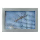 Elephant Mosquito ~ Buckle