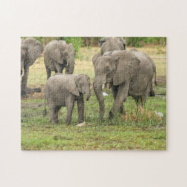 Elephant Mother and Baby Animal Jigsaw Puzzle (Horizontal)