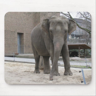 ELEPHANT mousepad