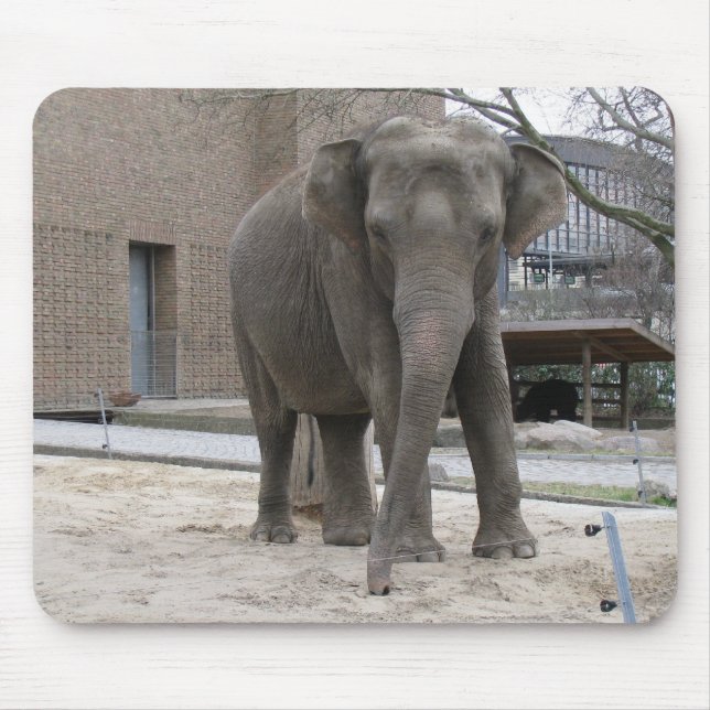 ELEPHANT mousepad (Front)