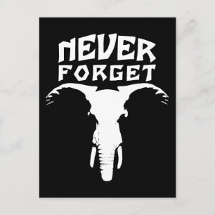 Elephant Never Forget Postcard