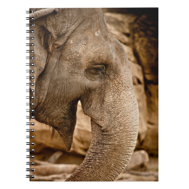 ELEPHANT NOTEBOOK (Front)
