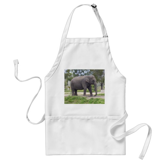 Elephant on Sunlit Meadow Path Standard Apron (Front)