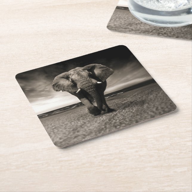 Elephant on the Run Square Paper Coaster (Angled)