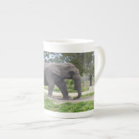 Elephant on Woodland Path