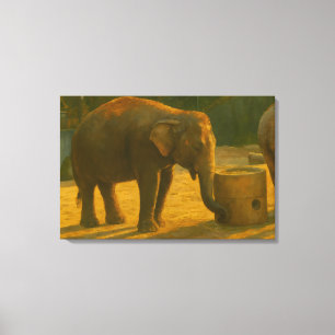 Elephant Pair in Sanctuary Setting Canvas Print