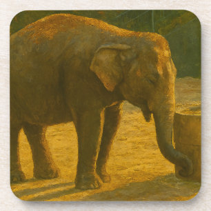 Elephant Pair in Sanctuary Setting Coaster