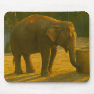 Elephant Pair in Sanctuary Setting Mouse Pad