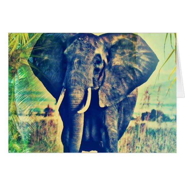 Elephant Palms (Front Horizontal)