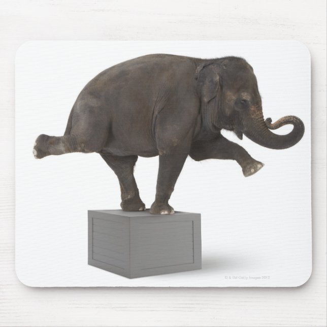 Elephant performing trick on box mouse pad (Front)