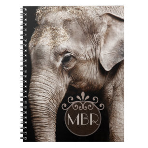 Elephant Photo Image Spiral Notebook