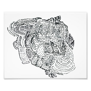 Elephant  photo print