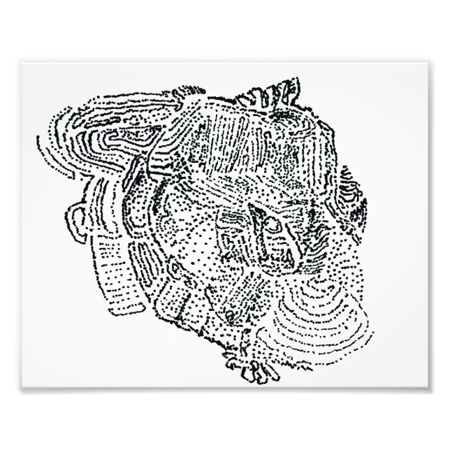 Elephant  photo print (Front)