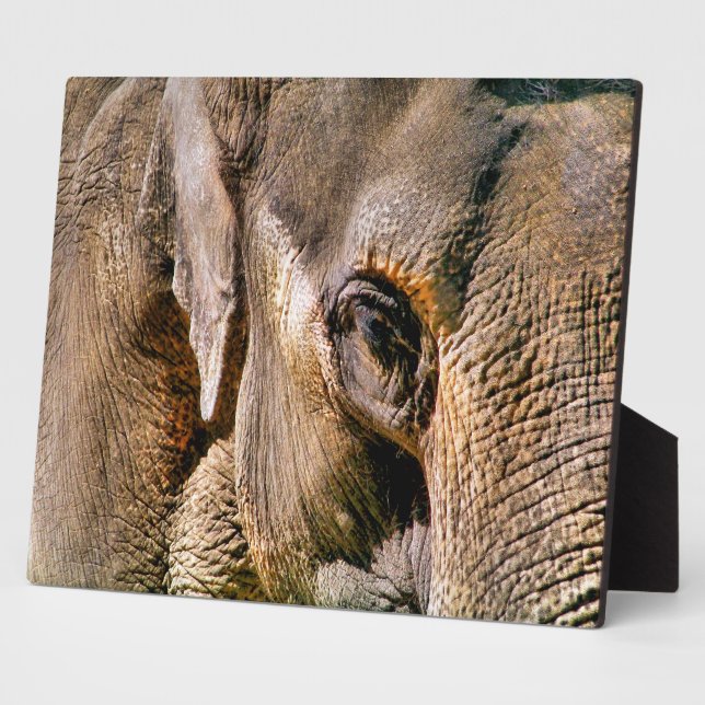 ELEPHANT PLAQUE (Side)