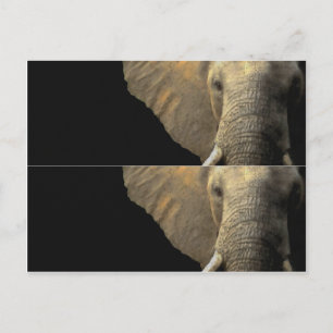 Elephant Portrait book marker Postcard