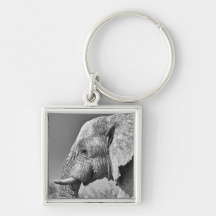 Elephant portrait key ring