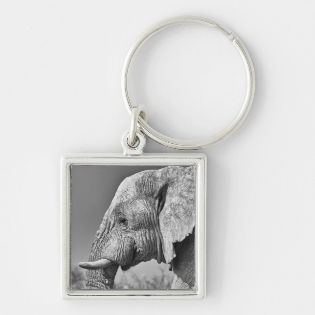 Elephant portrait key ring (Front)