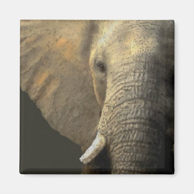 Elephant Portrait Magnet (Front)