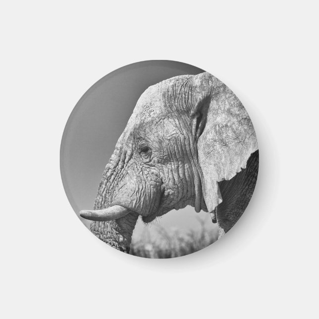 Elephant portrait magnet (Front)