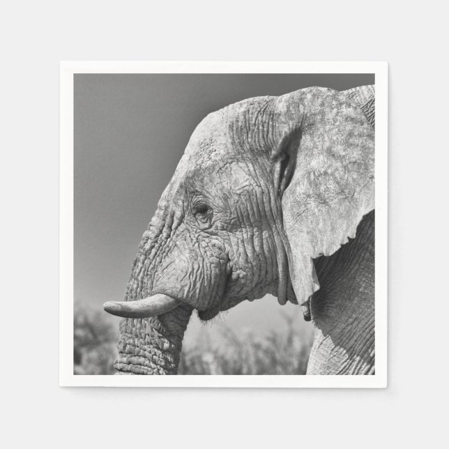 Elephant portrait napkin (Front)