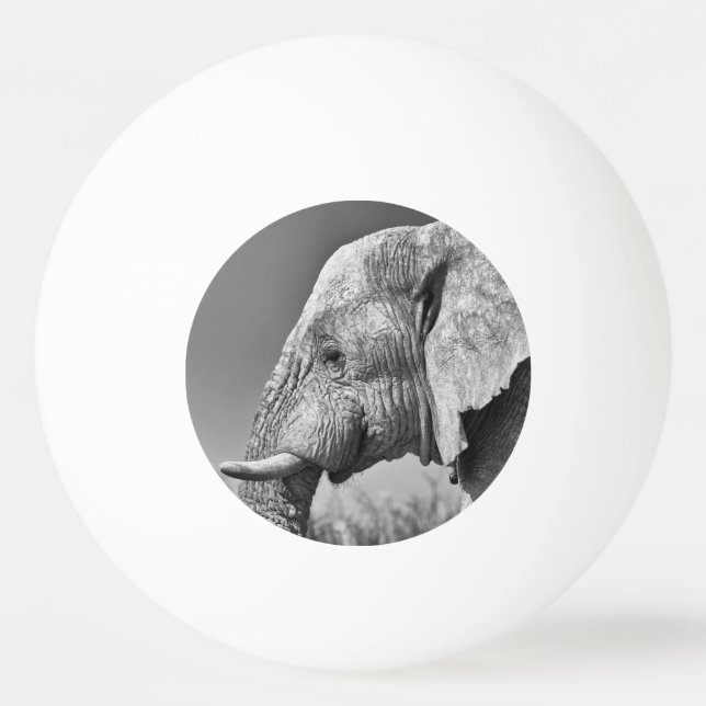 Elephant portrait ping pong ball (Back)