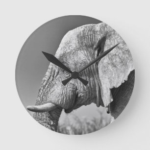 Elephant portrait round clock