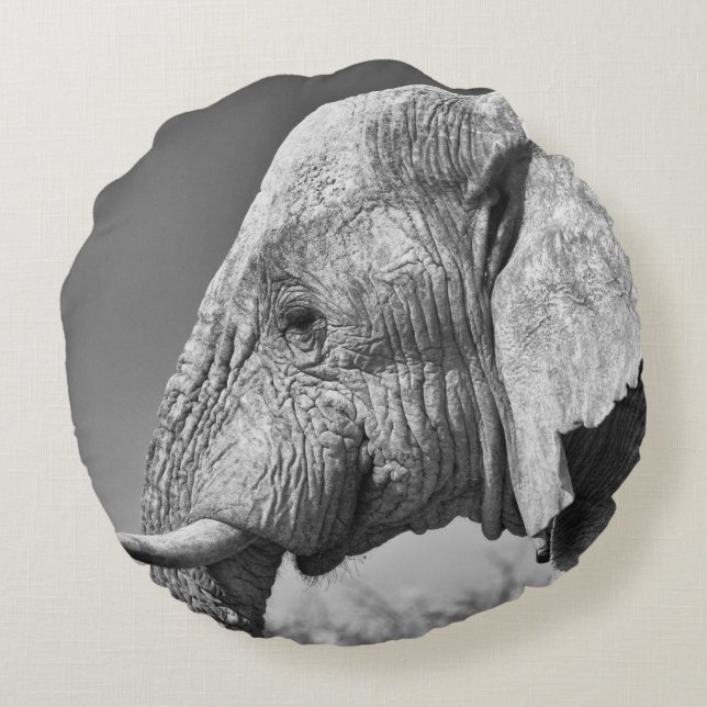 Elephant portrait round cushion (Back)