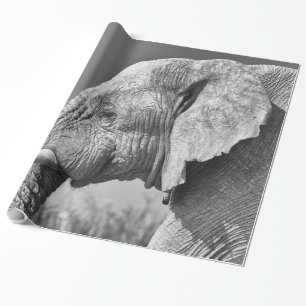 Elephant portrait wrapping paper