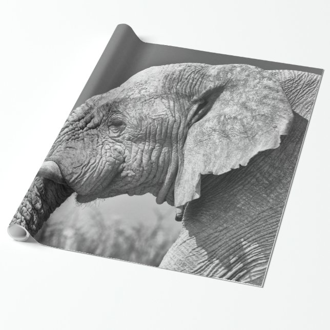 Elephant portrait wrapping paper (Unrolled)