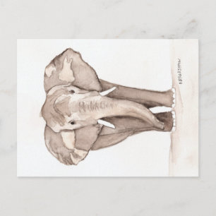 elephant postcard