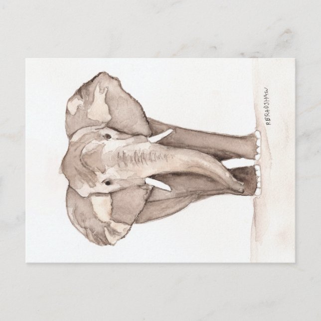 elephant postcard (Front)