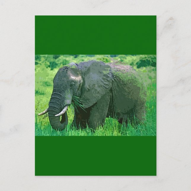 Elephant Postcard (Front)
