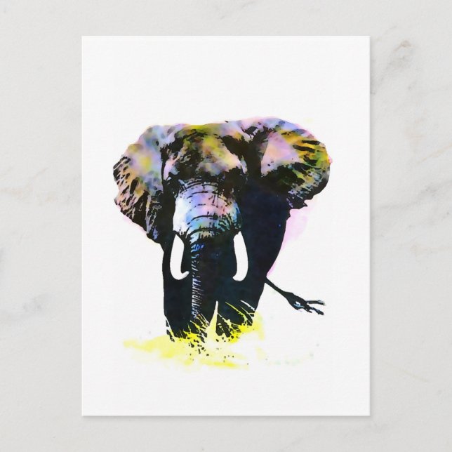 Elephant Postcard (Front)