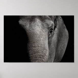 Elephant Poster