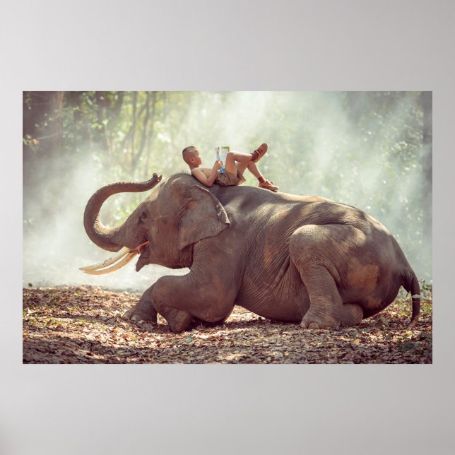 Elephant Poster (Asian boy lying on the back of an elephant, reading a book. )