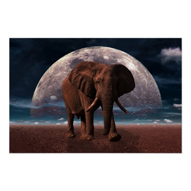 Elephant Poster (Front)