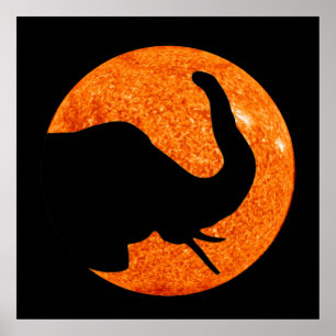 Elephant Profile Solar Eclipse Poster